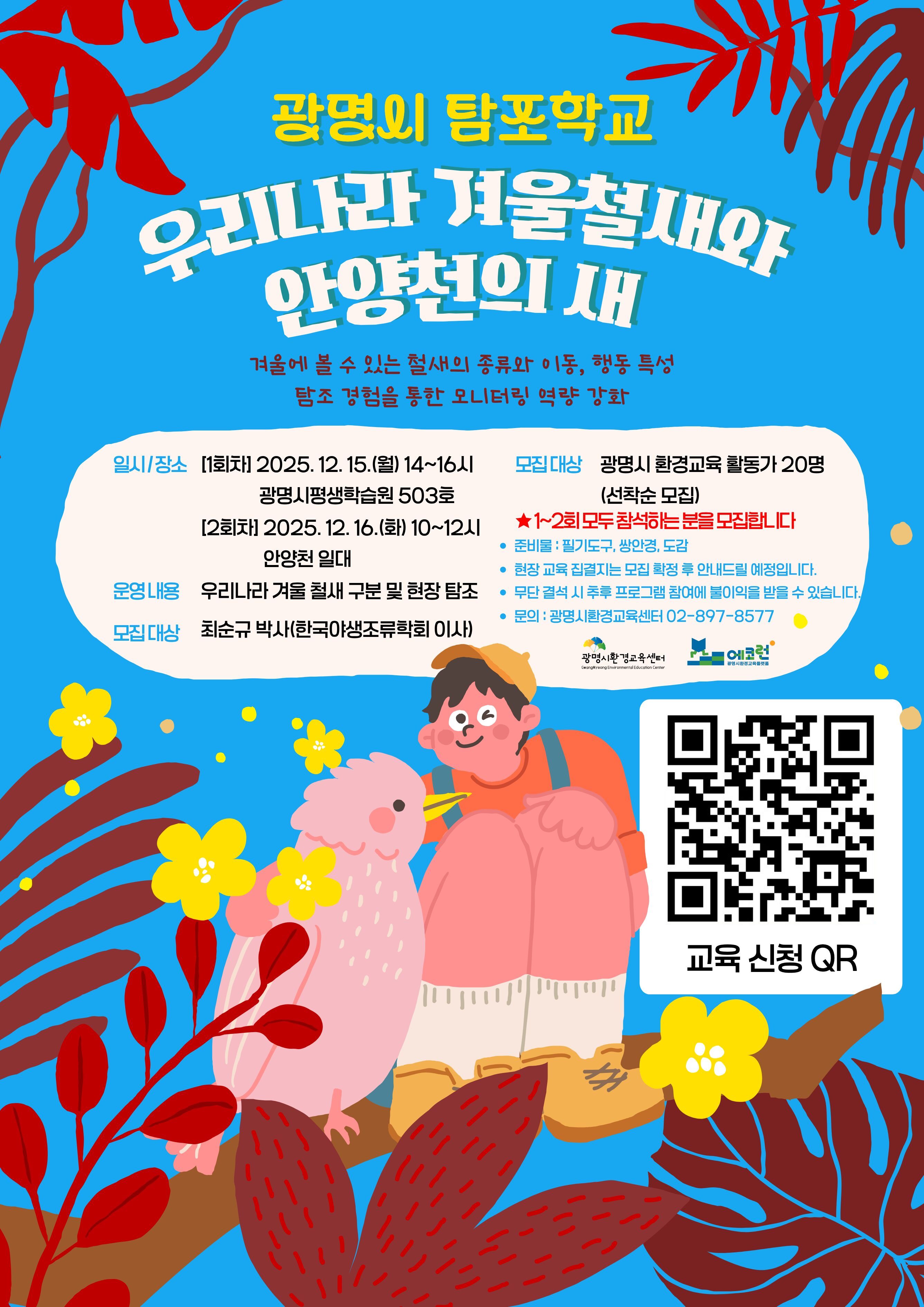 철새 교육 홍보 이미지